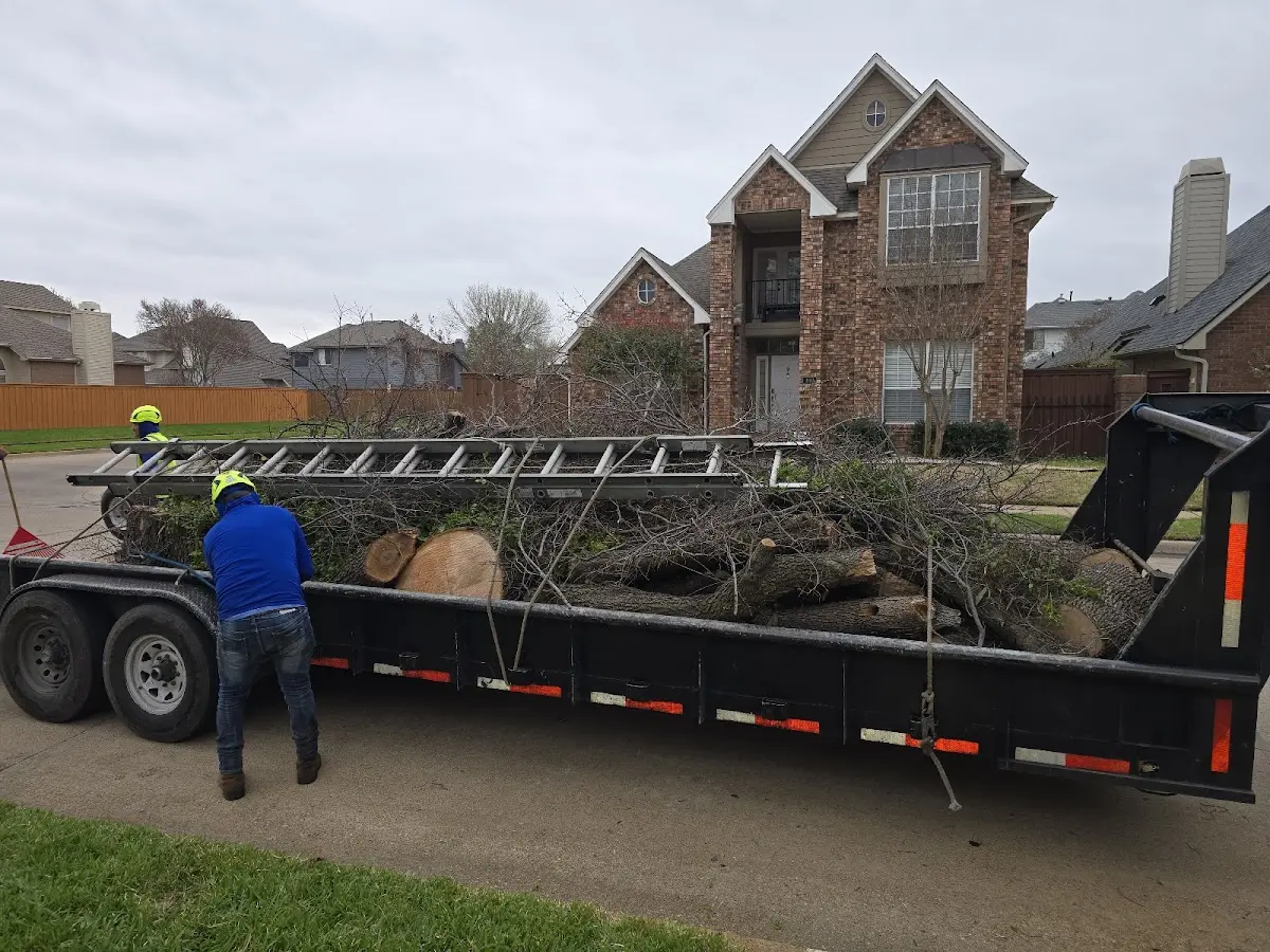 Expert Tree Fertilization with proper safety equipment in Bryants Store